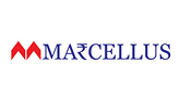 Marcellus